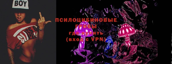 PSILOCYBIN Вяземский