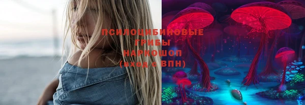 прущая мука Вязьма