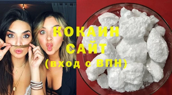 PSILOCYBIN Вяземский