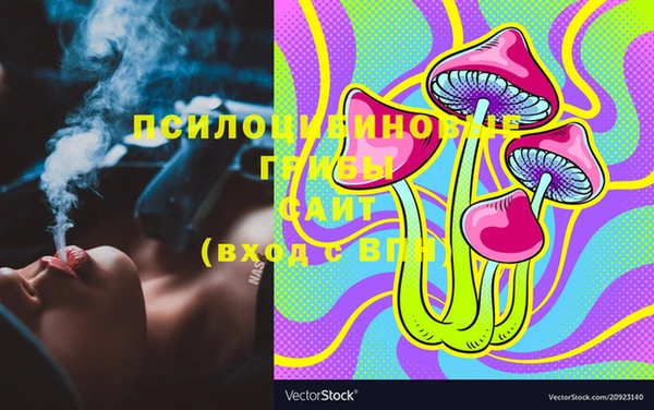 PSILOCYBIN Вяземский