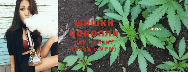 PSILOCYBIN Вяземский