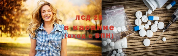 PSILOCYBIN Вяземский