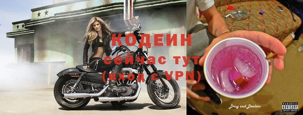 PSILOCYBIN Вяземский