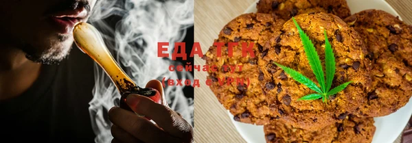 PSILOCYBIN Вяземский