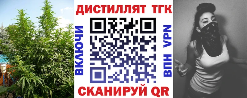 купить наркотик  Петров Вал  Дистиллят ТГК THC oil 