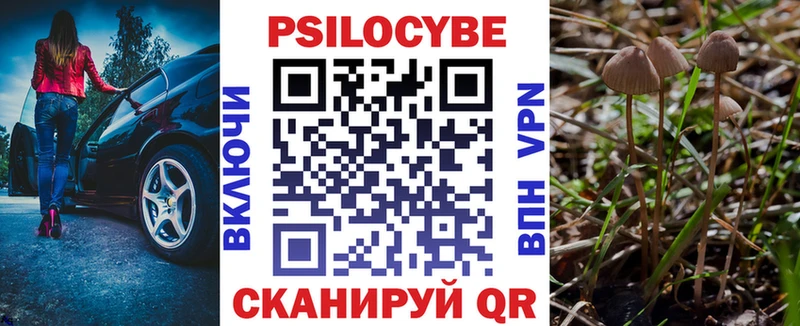 Галлюциногенные грибы GOLDEN TEACHER  продажа наркотиков  Петров Вал 